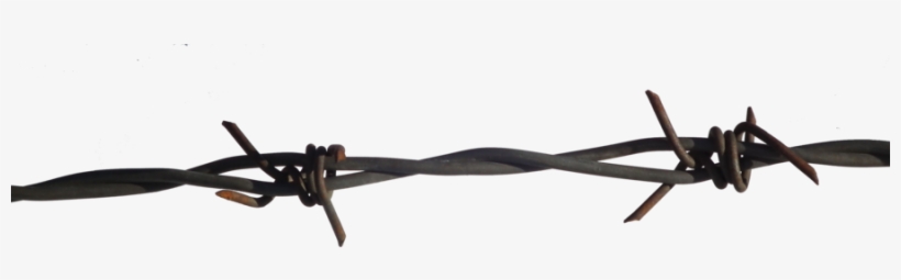 Barbed Wire Transparent Pictures - Real Barbed Wire Png, transparent png