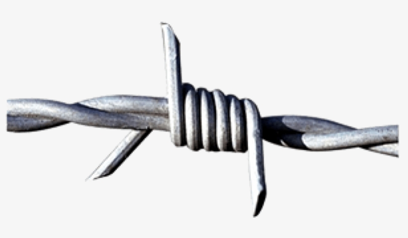 Gi Barbed Wire - Barbed Iron Wire, transparent png