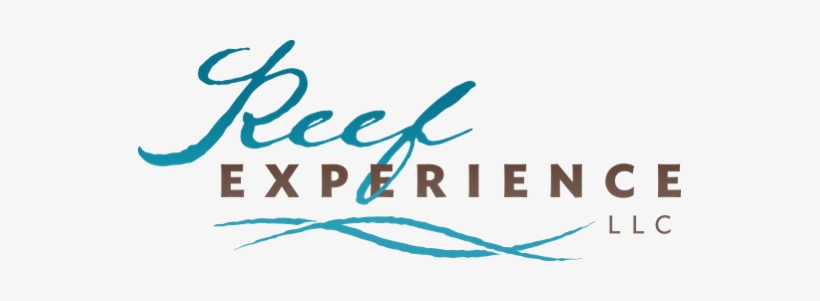 Reef Experience, transparent png
