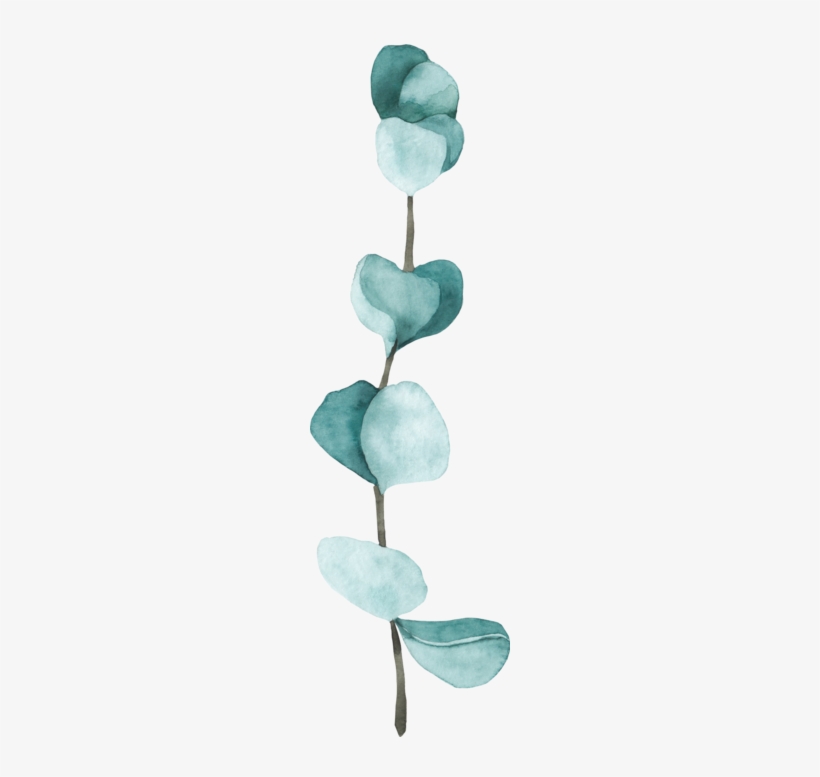 4 - Tulip, transparent png