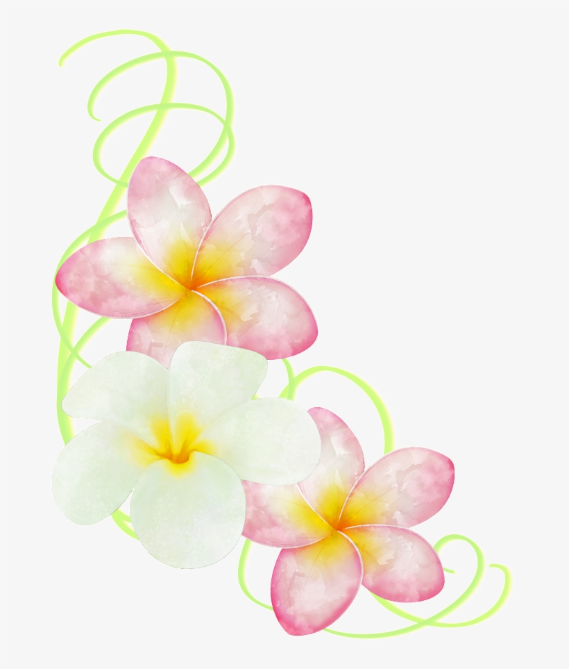 This Graphics Is Hand Painted Two Colors Of Egg Flower - Portable Network Graphics, transparent png