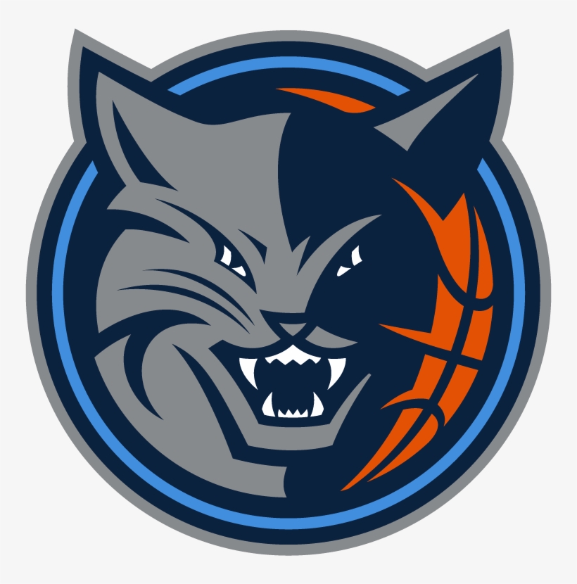 Charlotte Hornets Logo Png - Kemba Walker Bismack Biyombo, transparent png