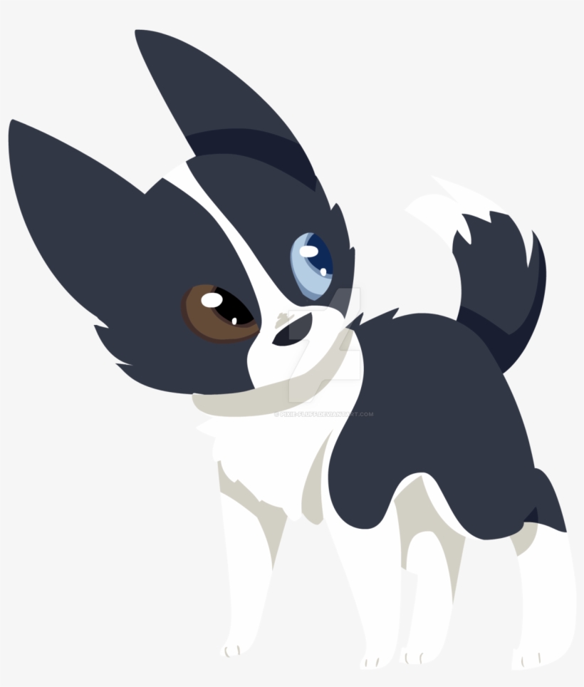 Clip Art Free Library Collection Of Border High Quality - Cute Border Collie Drawing, transparent png