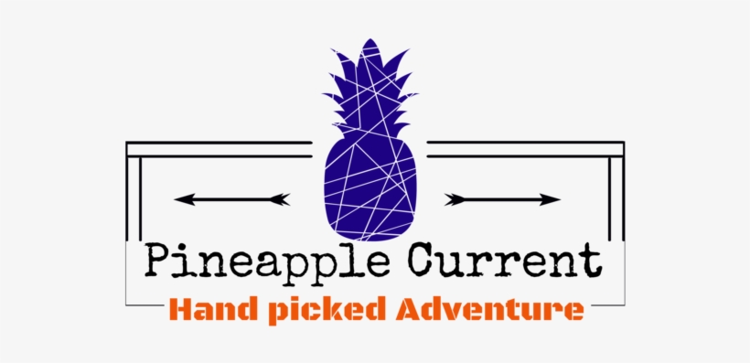 Home Of Hand Picked Adventure - Curating The Good: Collecting And Displaying Evidence, transparent png