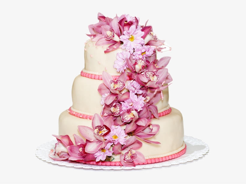 We Afford From Brownies To All Blends Of Variety Cakes - Confectionery Websites Templates, transparent png