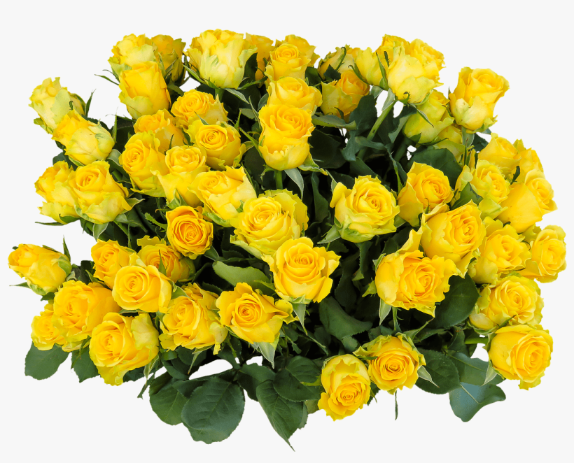Yellow Rose Flower Free Png Transparent Images Free Birthday Bouquet Images Download 960x704 Png Download Pngkit