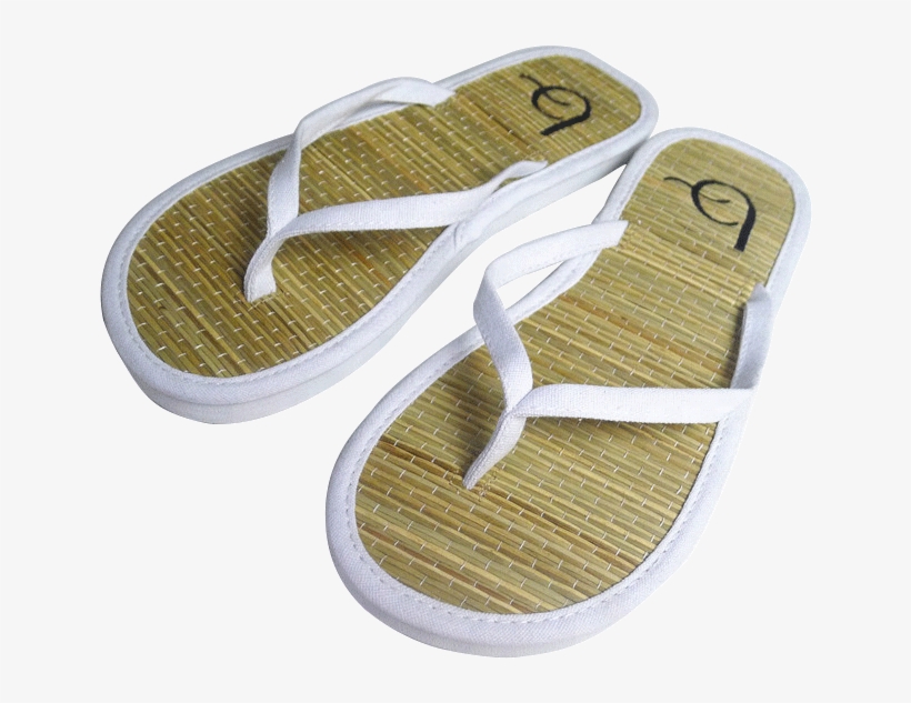 Flip-flops, transparent png