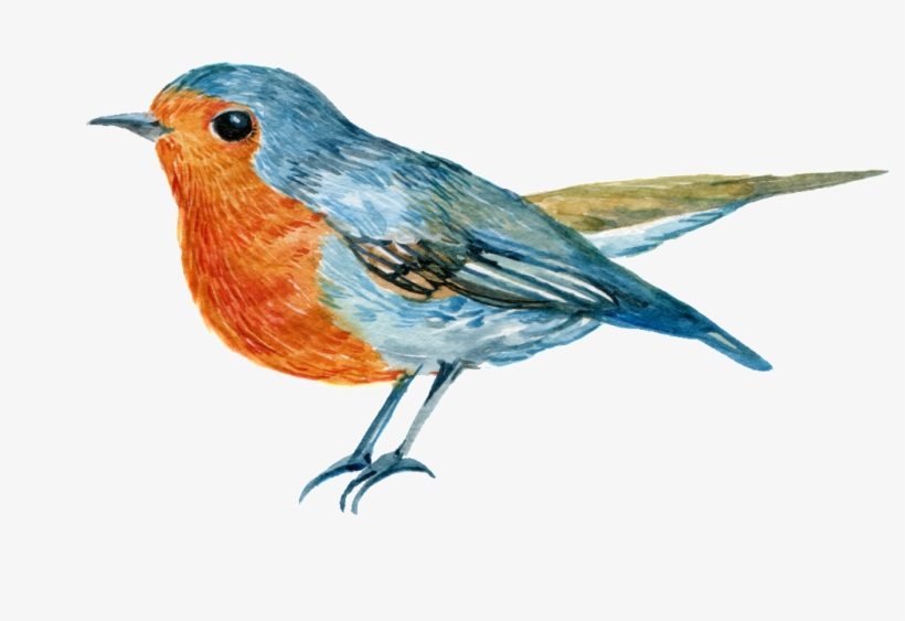 This Product Design Is Hand Painted A Magpie Png Transparent - Watercolor Painting, transparent png