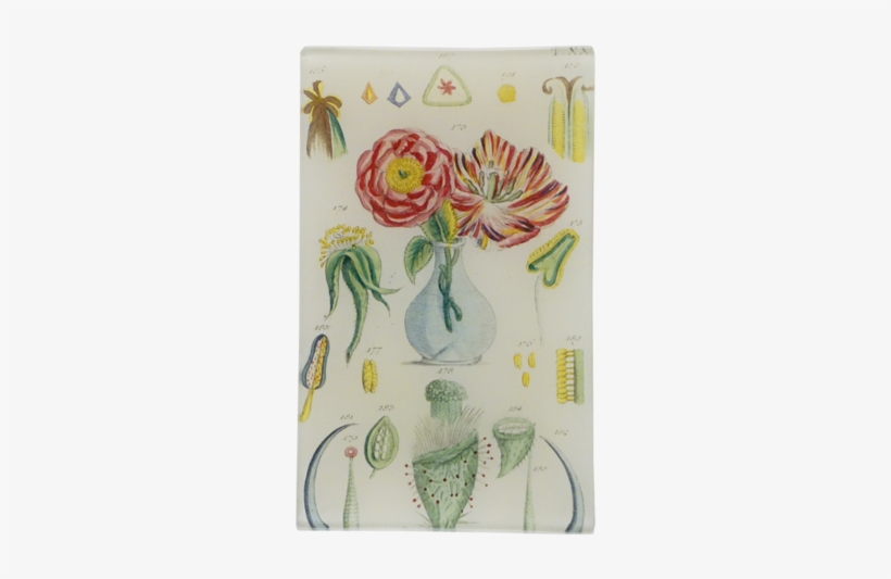 Information - John Derian Rectangular Vase, transparent png