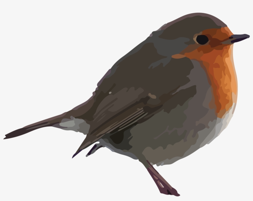 Free Bird Clipart - Robin Clipart, transparent png