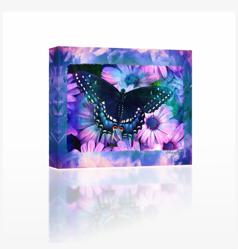 Papilio Machaon, transparent png