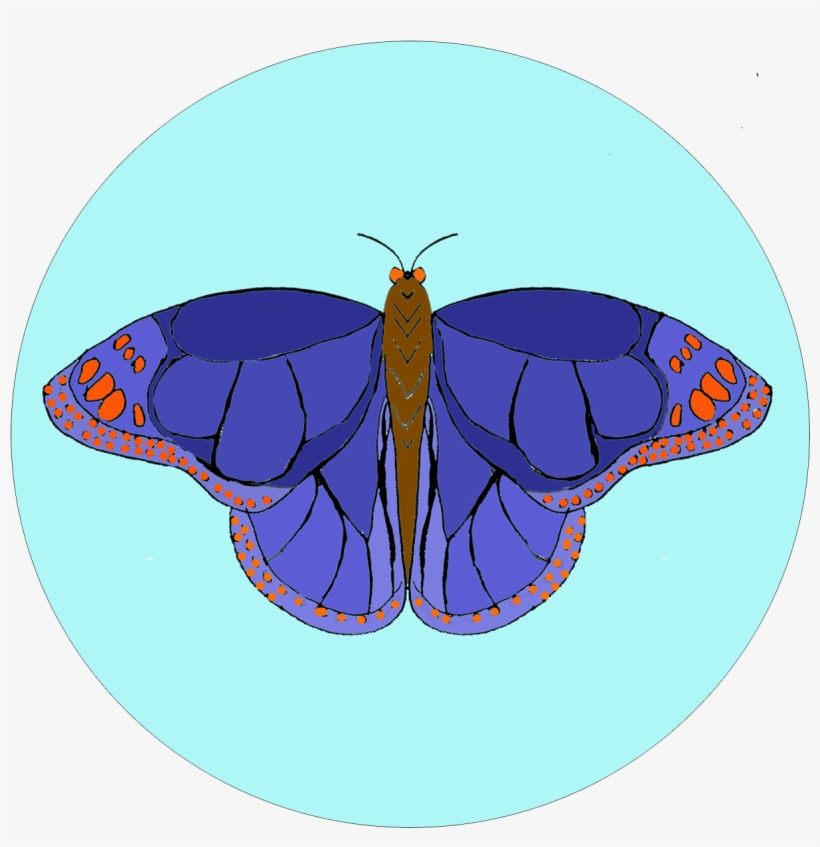 Pink Flower Easy Embroidery Kit - Swallowtail Butterfly, transparent png