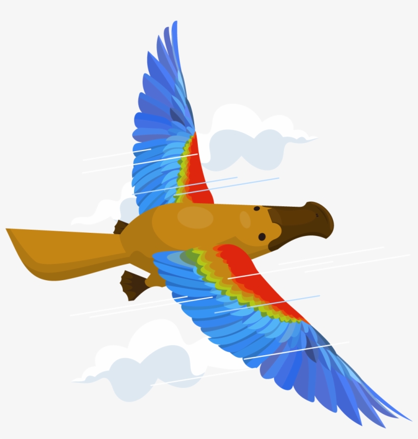 How Do I Fly The Platypus & Grow My Business - Flying Platypus, transparent png