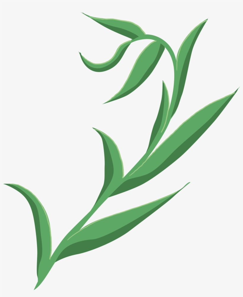 Clip Art, transparent png