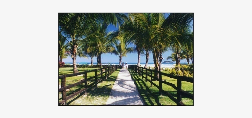 Only 1 Hour From São Paulo - Resort, transparent png