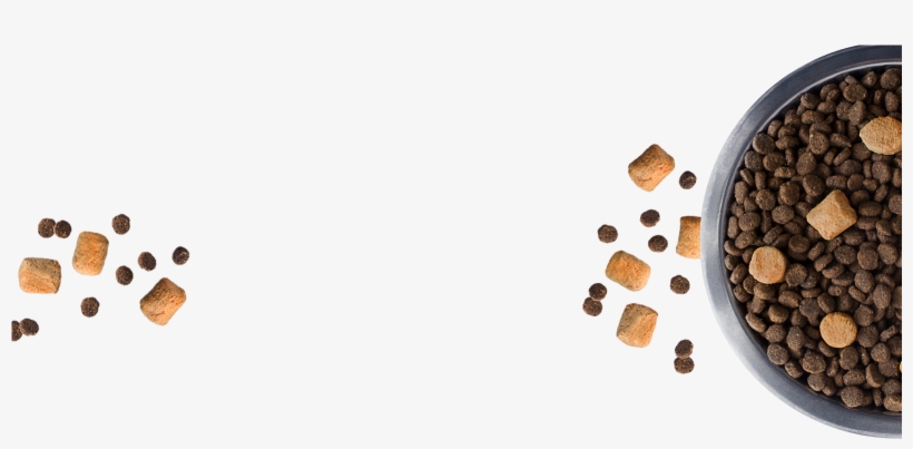 Dog Food Bowl Png - Cat Treat No Background, transparent png