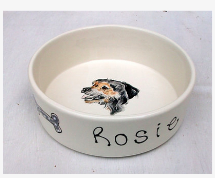 Portrait Dog Bowl - Beagle, transparent png