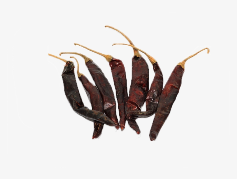 Bird's Eye Chili, transparent png
