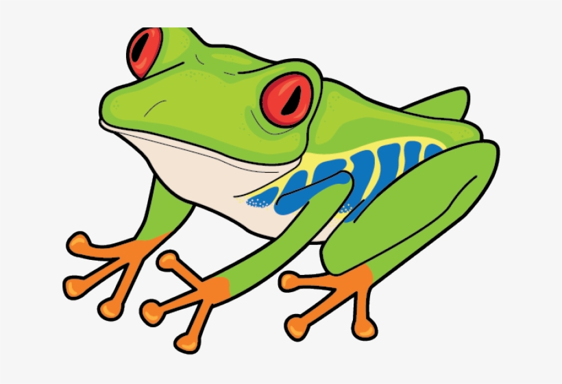 Red Eyed Tree Frog Clipart, transparent png