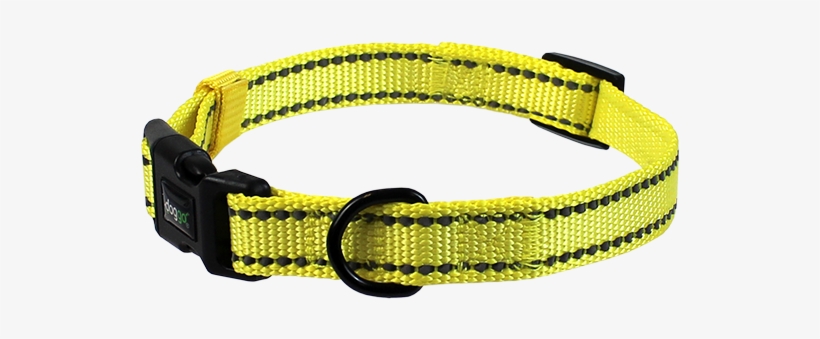 Dog, transparent png