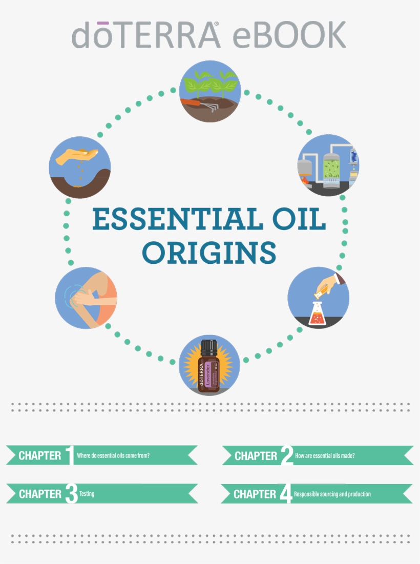 Doterra Essential Oils Origins - Doterra Essential Oils For Fitness, transparent png