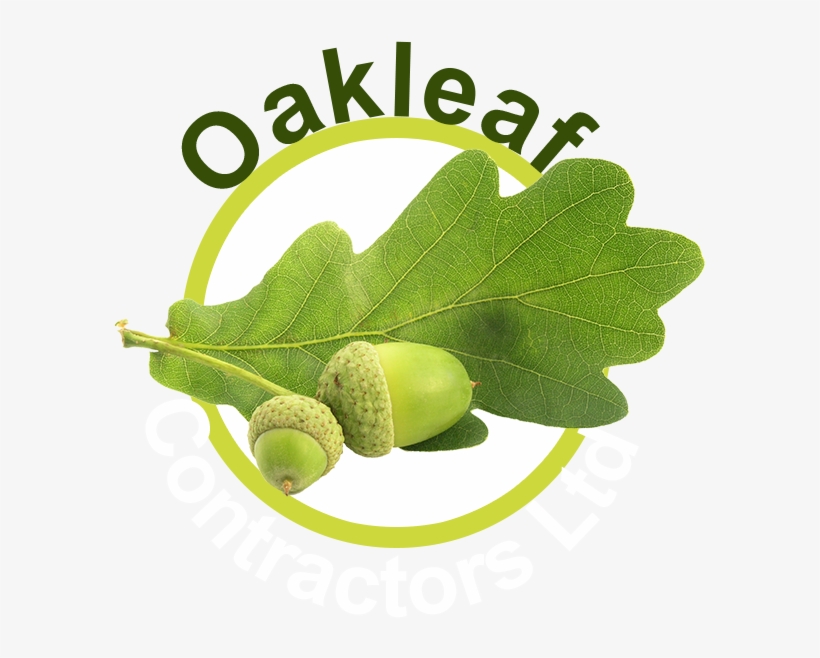 Oakleaf Contractors Ltd - Olive, transparent png