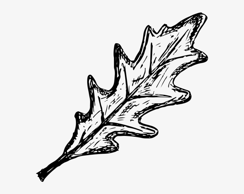 Sketch, transparent png