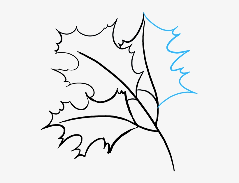 How To Draw Fall Oak - Line Art, transparent png