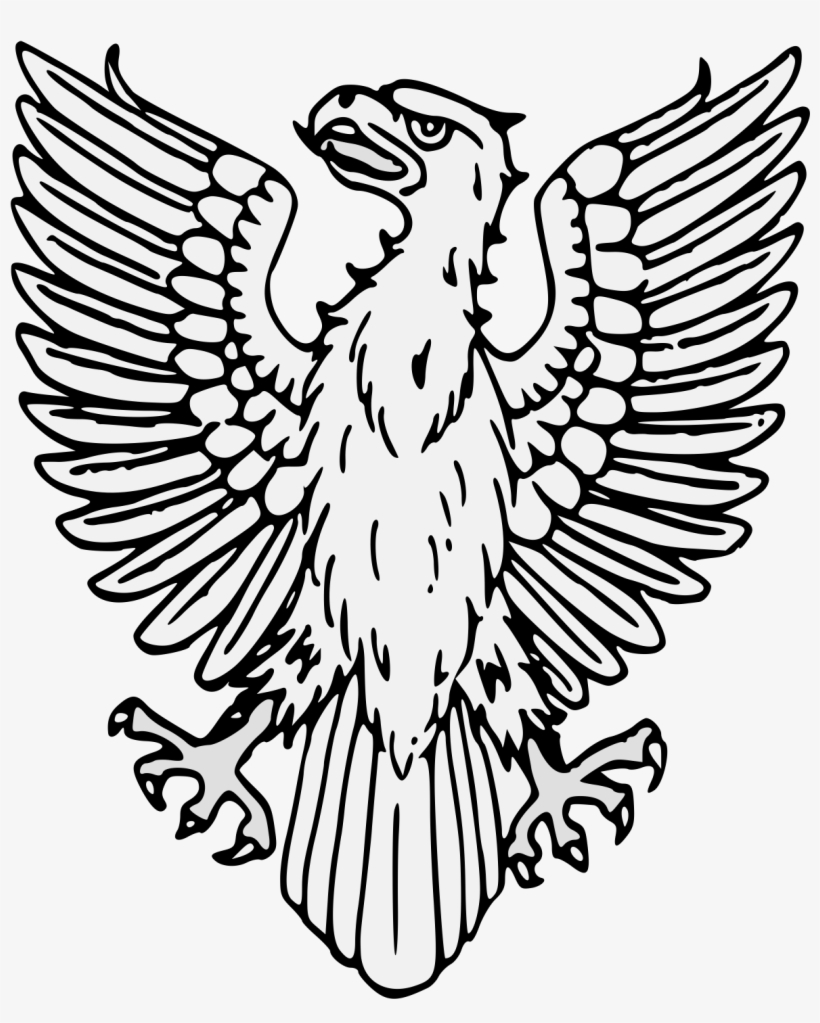 Details, Png - Falconiformes, transparent png