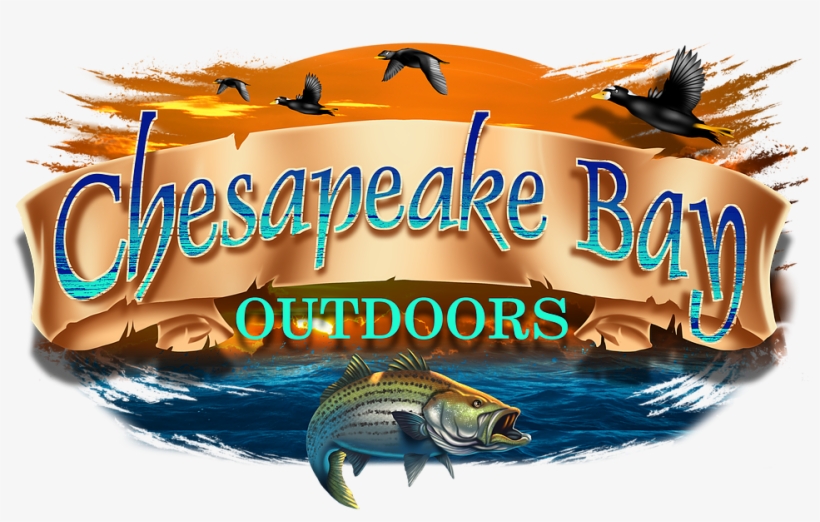 Chesapeake Bay Charter Fishing And Sea Duck Hunting - Pull Fish Out Of Water, transparent png