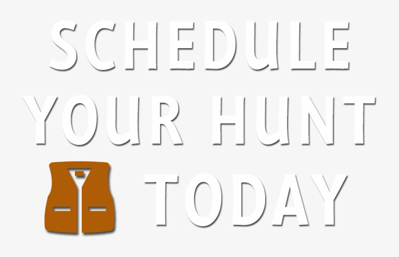 Guided Duck Hunts In Arkansas & Missouri - Guinness, transparent png