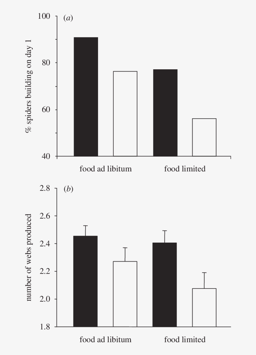 Web Building Frequency Of Zygiella X Notata Spiderlings - Diagram, transparent png