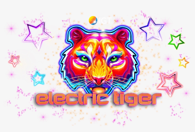 Exclusive & Latest Casino Bonuses, Reviews, Online - Siberian Tiger, transparent png
