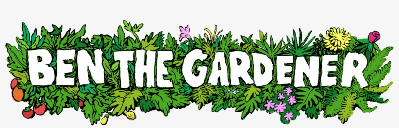 9c1306f4 D001 4479 A8ff C6c936dba825 - Illustration, transparent png