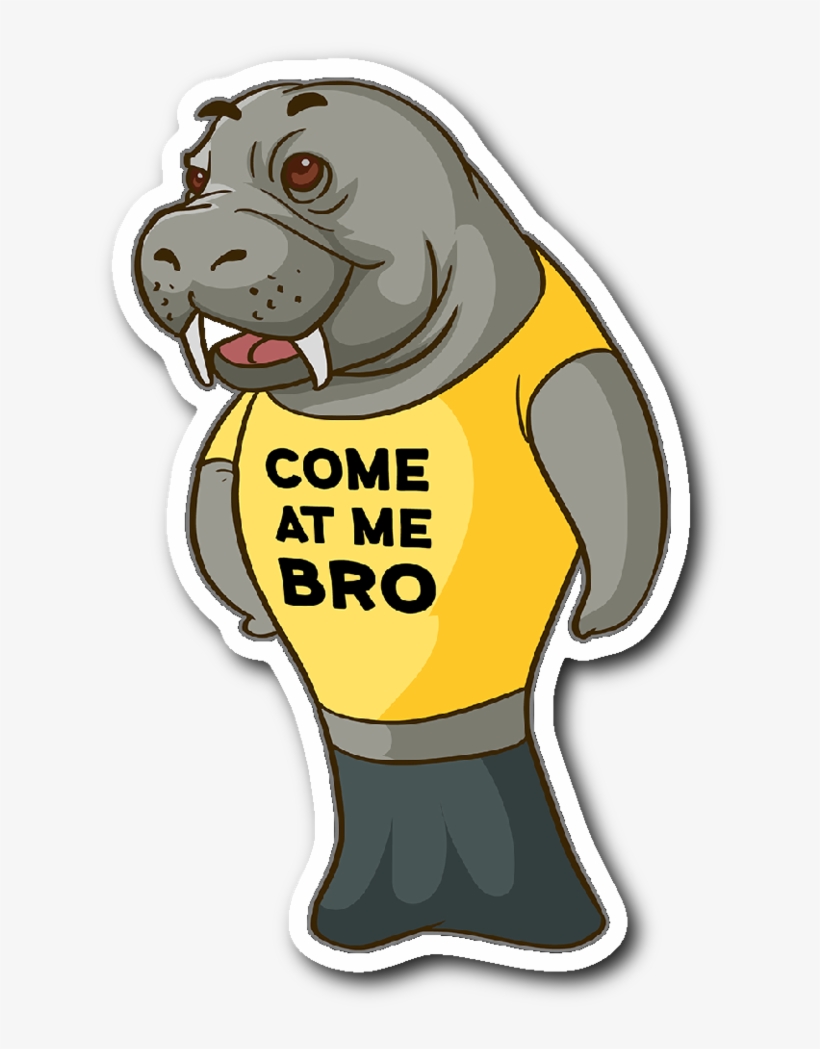 Manatee Come At Me Bro Commercial Novelty Sticker Car - Cartoon, transparent png