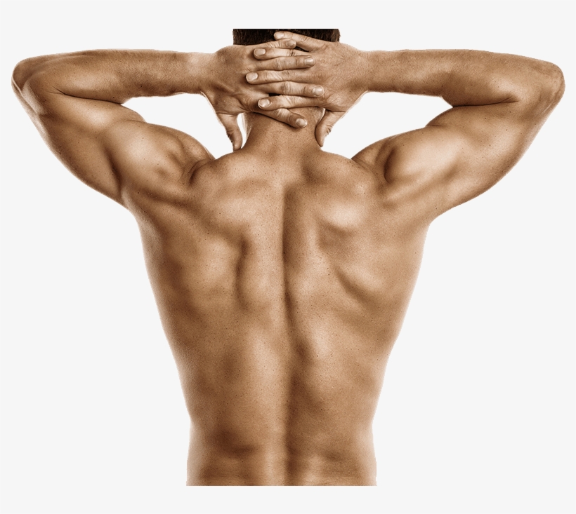 Muscle-man - Trainierter Rücken, transparent png
