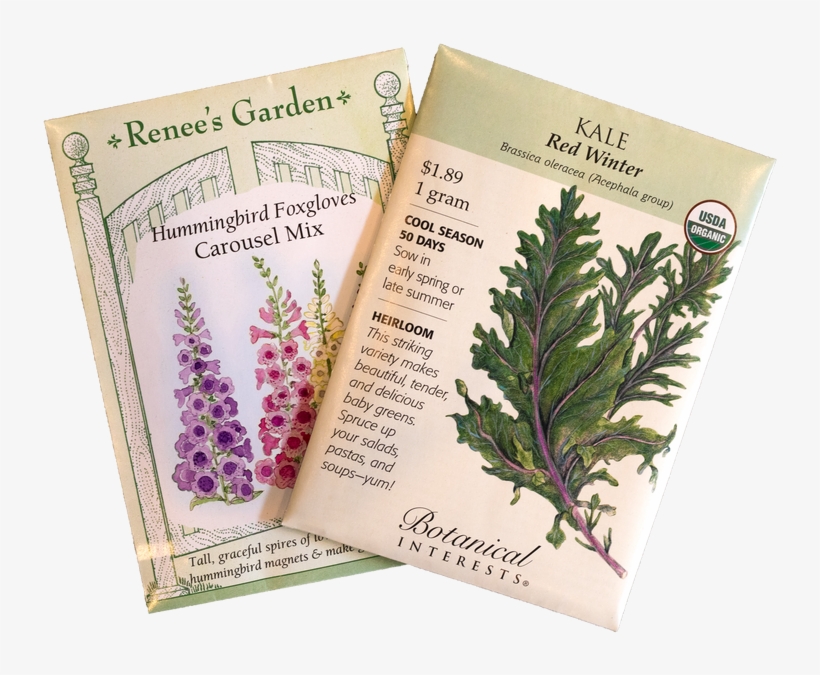 Is An Artist The Same Without Their Palette And Brushes - Red Winter Kale, transparent png