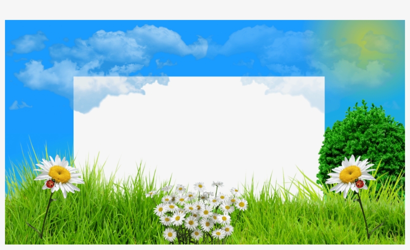 7 Molduras Primavera 2015, Png Com Fundo Transparente - Camomile, transparent png