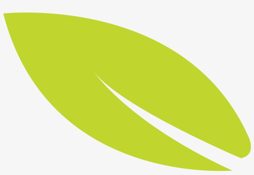 Gural Jcc Leaf Icon - Oval, transparent png