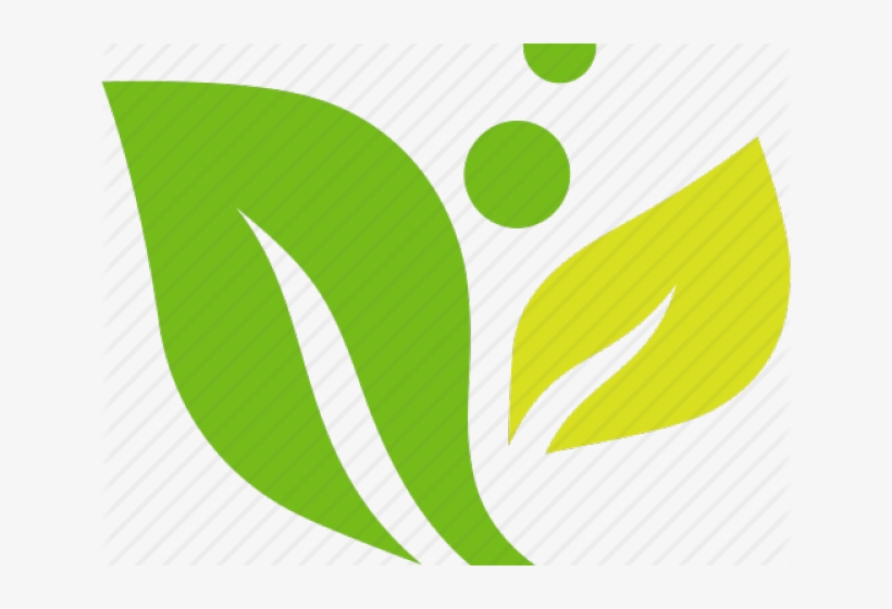 Abstract Leaf Png Hd, transparent png