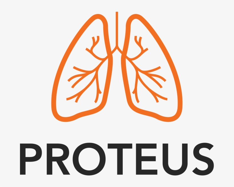 Whey Protein Vector Png, transparent png