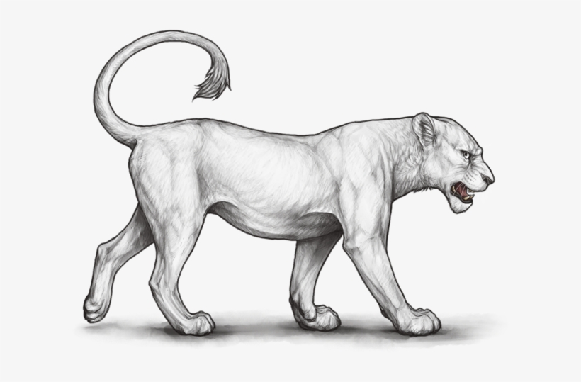 Lion Page - Lioden Combo Base Sunset X Bast, transparent png