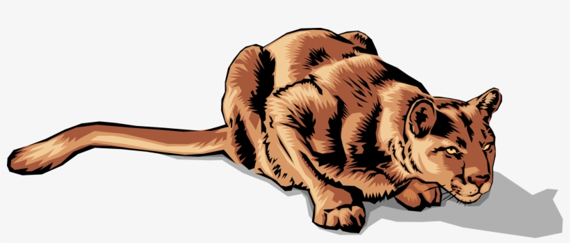 Vector Illustration Of Large Carnivore African Lioness - Bengal Tiger, transparent png