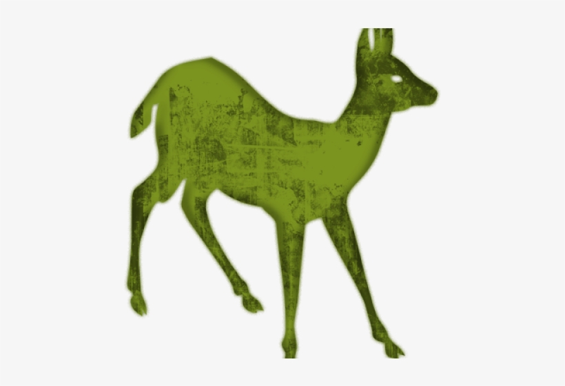 Silueta Venado Cola Blanca, transparent png