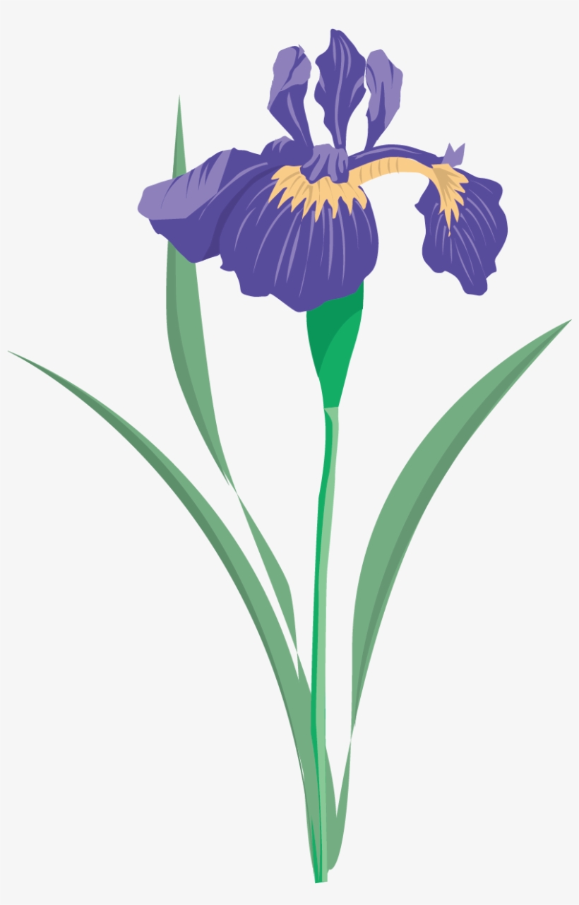 Versicolor Flower Data Set Clip Art Floral - Blue Iris Flower Clip Art, transparent png