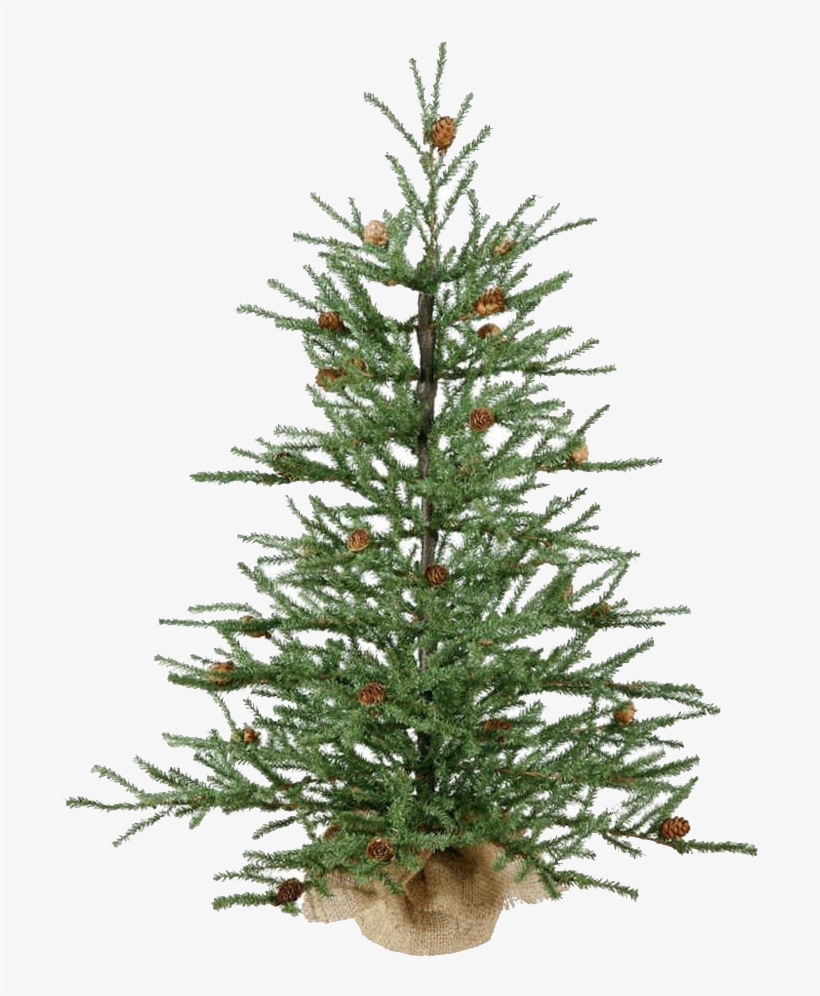Christmas Tree Looks Real, transparent png