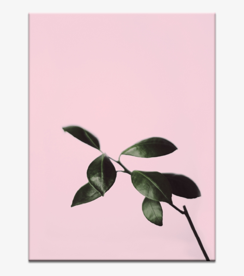 Musk Twig - Mood Board Color Food, transparent png