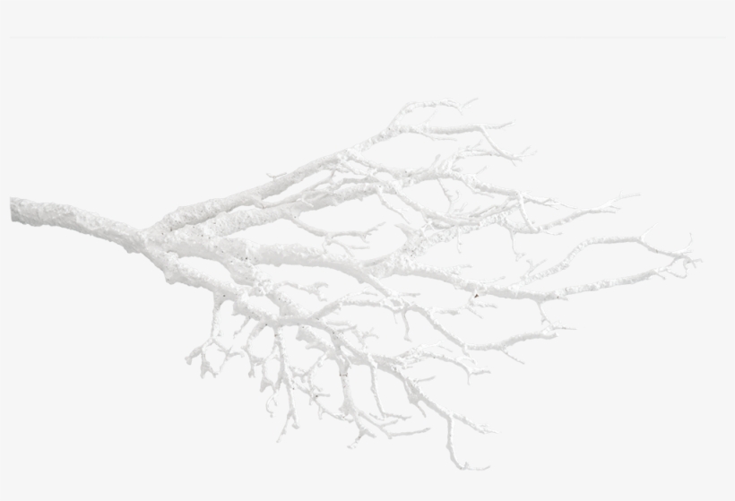 Deco Twig White - Sketch, transparent png