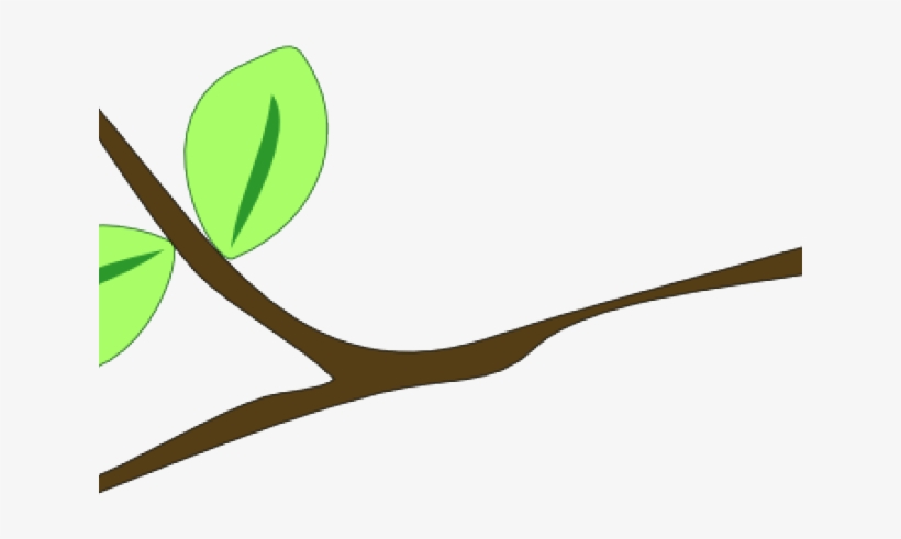 Original - Tree Branch Clip Art, transparent png