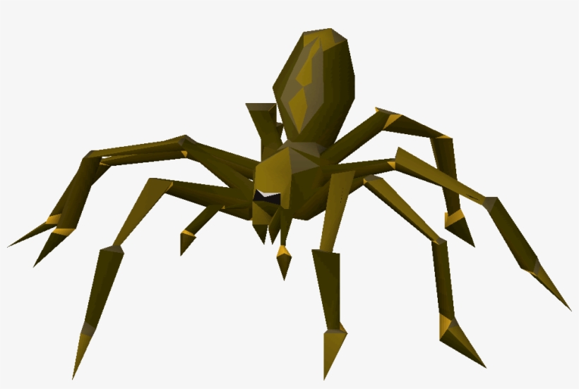 Araneus Cavaticus, transparent png